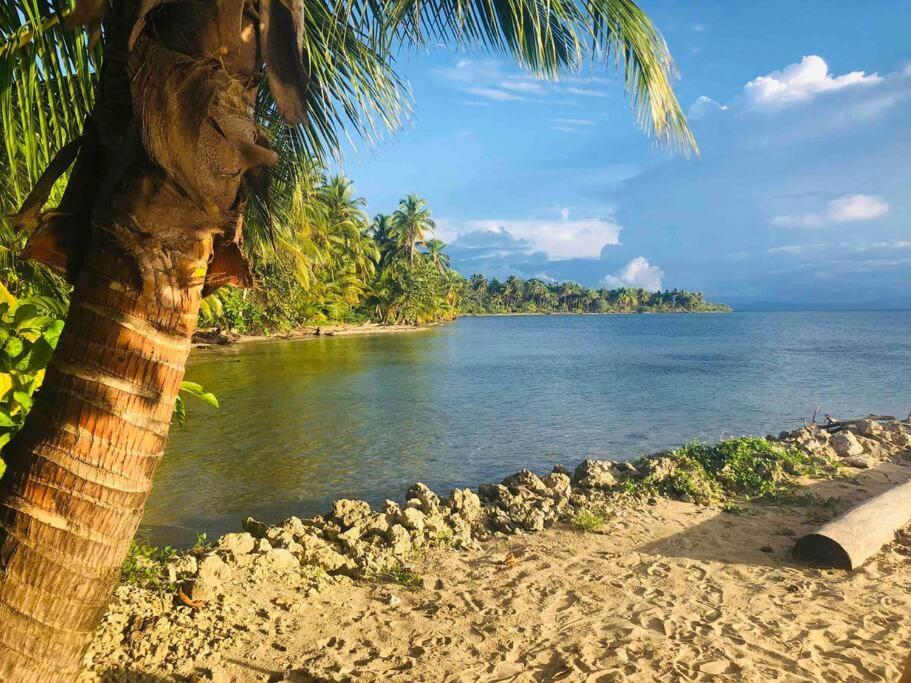 Caribbean Villages Aparments Bocas del Toro Eksteriør billede