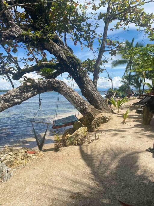 Caribbean Villages Aparments Bocas del Toro Eksteriør billede